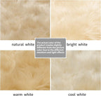 Ciicool Fluffy Faux Fur Area Rug 8 x 10 Feet, Thick Shaggy Fuzzy Rugs Floor - Image 6