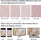 Lecloud Leia 2 Panels Blush Pink Sheer Curtains 96 Inch Length 2 Panels - Image 5