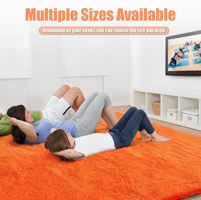 Shag Area Rug for Bedroom 4x6, Soft Fuzzy Rug Non-Shedding Indoor Plush Carpet - Image 5