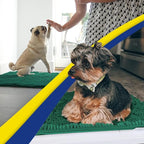 Muddy Mat® | Super Absorbent Door Mat Indoor, Microfiber Quick Dry Chenille - Image 5