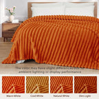 Exclusivo Mezcla Queen Size Flannel Fleece Blanket, Super Soft Striped Jacquard - Image 3