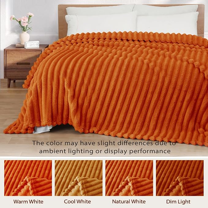 Exclusivo Mezcla Twin Size Flannel Fleece Blanket, Super Soft Striped Jacquard - Image 3