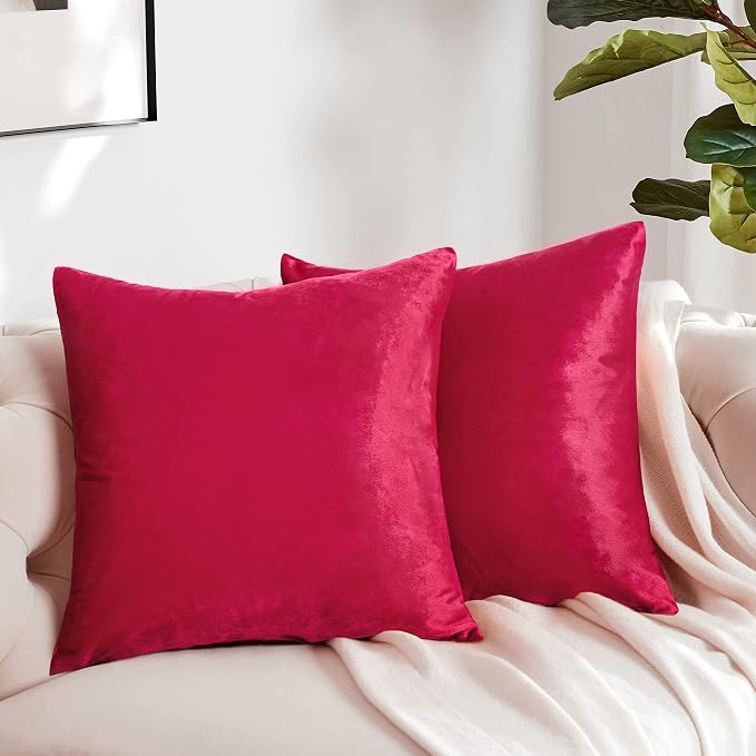 GIGIZAZA Decor Throw Couch Pillow Covers, Velvet Pillow Cases 24 x 24inch - Image 6