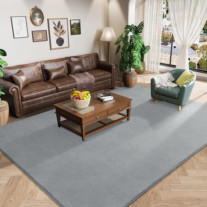 Amearea Large Modern Area Rugs for Bedroom Living Room, 5x8 Feet Grey Thickened by AmeareaDirect