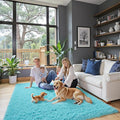 Rugs for Bedroom 4x6, Alfombras para Salas Shag Large Plush Soft Area Rug by Junhejiamei