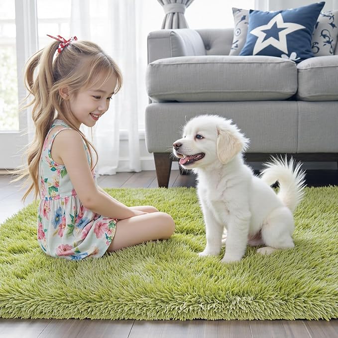 Rugs for Living Room 5x8, Alfombras para Salas Shag Large Plush Soft Area Rug - Image 3