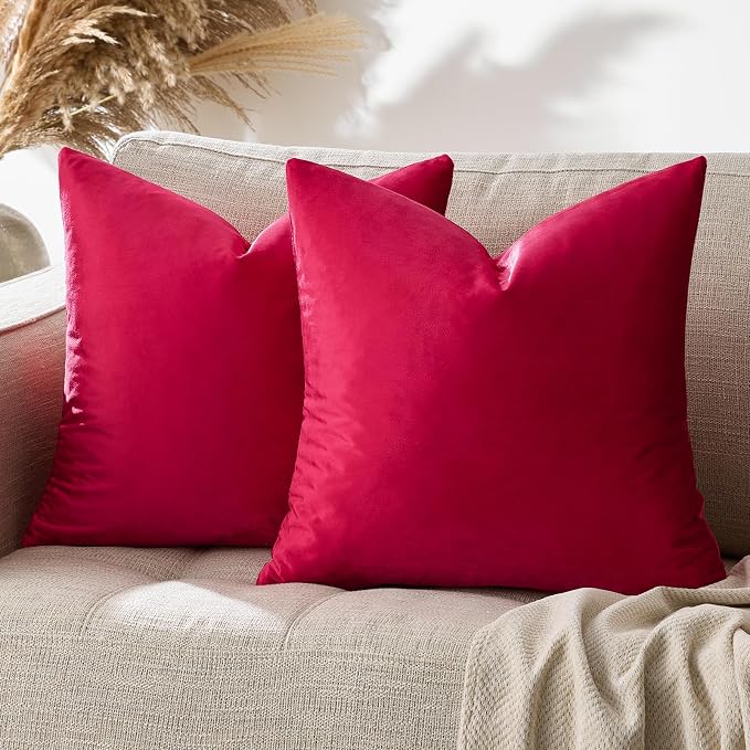 GIGIZAZA Decor Throw Couch Pillow Covers, Velvet Pillow Cases 24 x 24inch by GIGIZAZAFocusingonhomedecoration