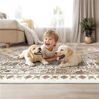 Washable Rugs 8x10 Area Rugs for Living Room, Non-Slip Backing Large Rug for - Image 9