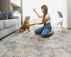 UERMEI 5x7 Area Rug Living Room Rugs - Image 3