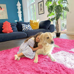 OLANLY 6x9 Machine Washable Large Area Rugs - Image 5