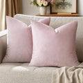 GIGIZAZA Decor Throw Couch Pillow Covers, Velvet Pillow Cases 24x24inch by GIGIZAZAFocusingonhomedecoration