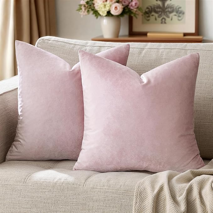GIGIZAZA Decor Throw Couch Pillow Covers, Velvet Pillow Cases 24x24inch by GIGIZAZAFocusingonhomedecoration