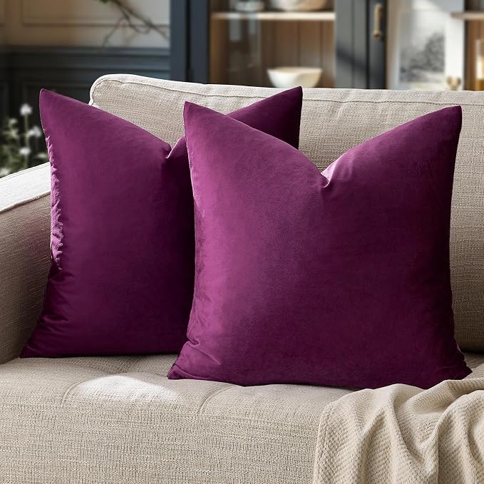GIGIZAZA Decor Throw Couch Pillow Covers, Velvet Pillow Cases 24 x 24inch by GIGIZAZAFocusingonhomedecoration