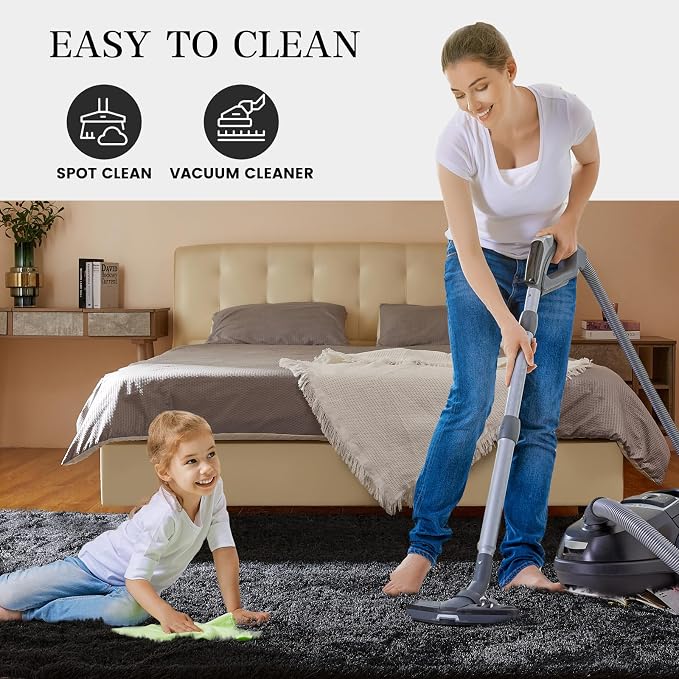 8x10 Feet Large Area Rug, Shag Fluffy Bedroom Carpet, Soft Rugs - Image 6