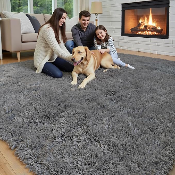 Rugs for Bedroom 4x6, Alfombras para Salas Shag Large Plush Soft Area Rug - Image 6