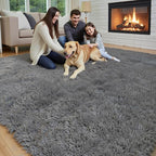 Rugs for Bedroom 4x6, Alfombras para Salas Shag Large Plush Soft Area Rug - Image 6