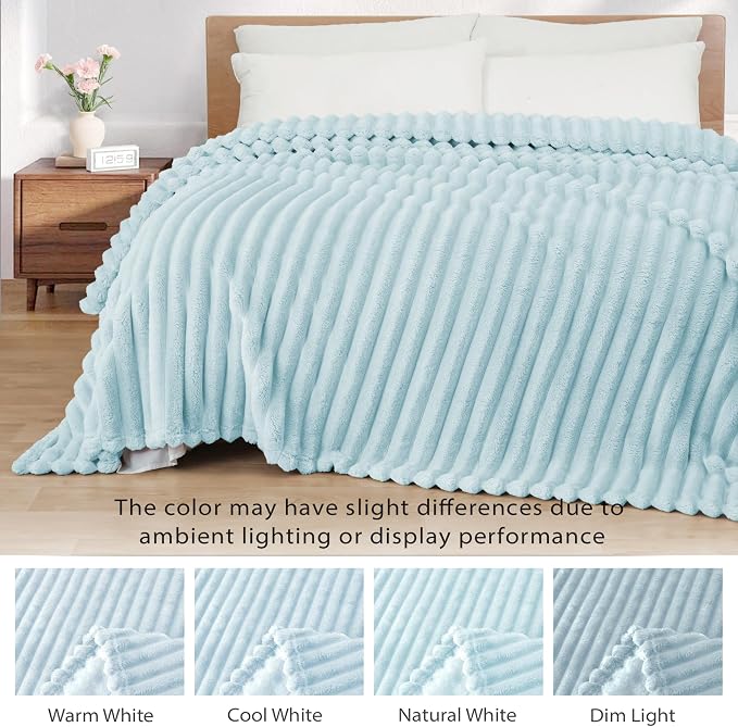 Exclusivo Mezcla Twin Size Flannel Fleece Blanket, Super Soft Striped Jacquard - Image 3
