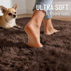 OLANLY 5x5 Area Rugs for Living Room Bedroom, Machine Washable Soft Fluffy - Image 4