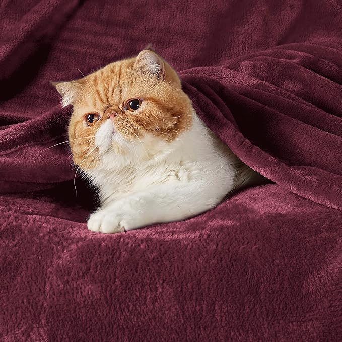 Bedsure GentleSoft Fleece Throw Blanket Burgundy Red - Image 2