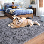 Rugs for Living Room 8x10, Soft Shaggy Modern Shag Area Rug for Bedroom - Image 6