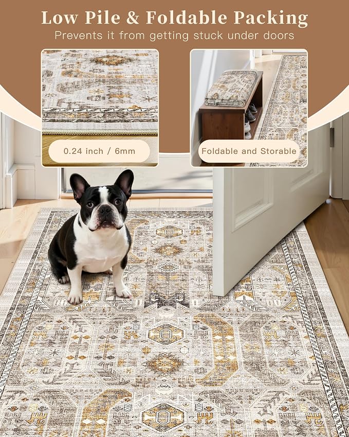 Madane Washable Area Rug 2x3, Small Entryway Rug Non-Slip Vintage Door Mat - Image 6
